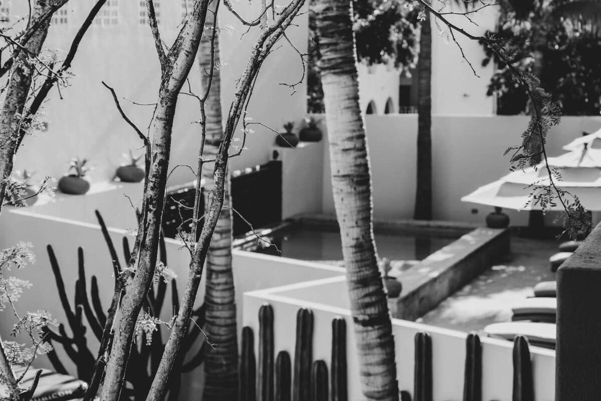 2 Modern Twin Suites In Exclusive Boutique Hotel San José del Cabo Exterior foto