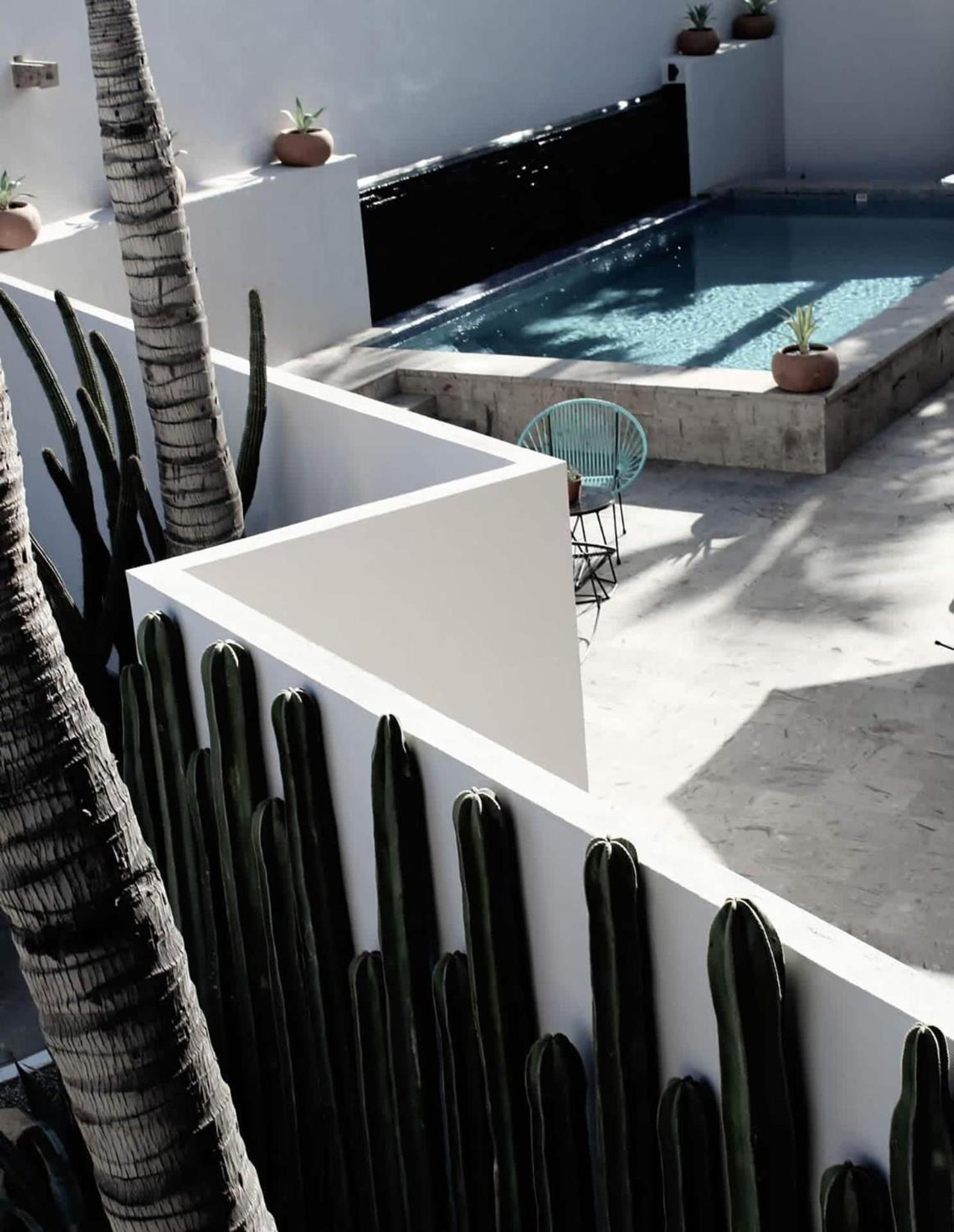 2 Modern Twin Suites In Exclusive Boutique Hotel San José del Cabo Exterior foto